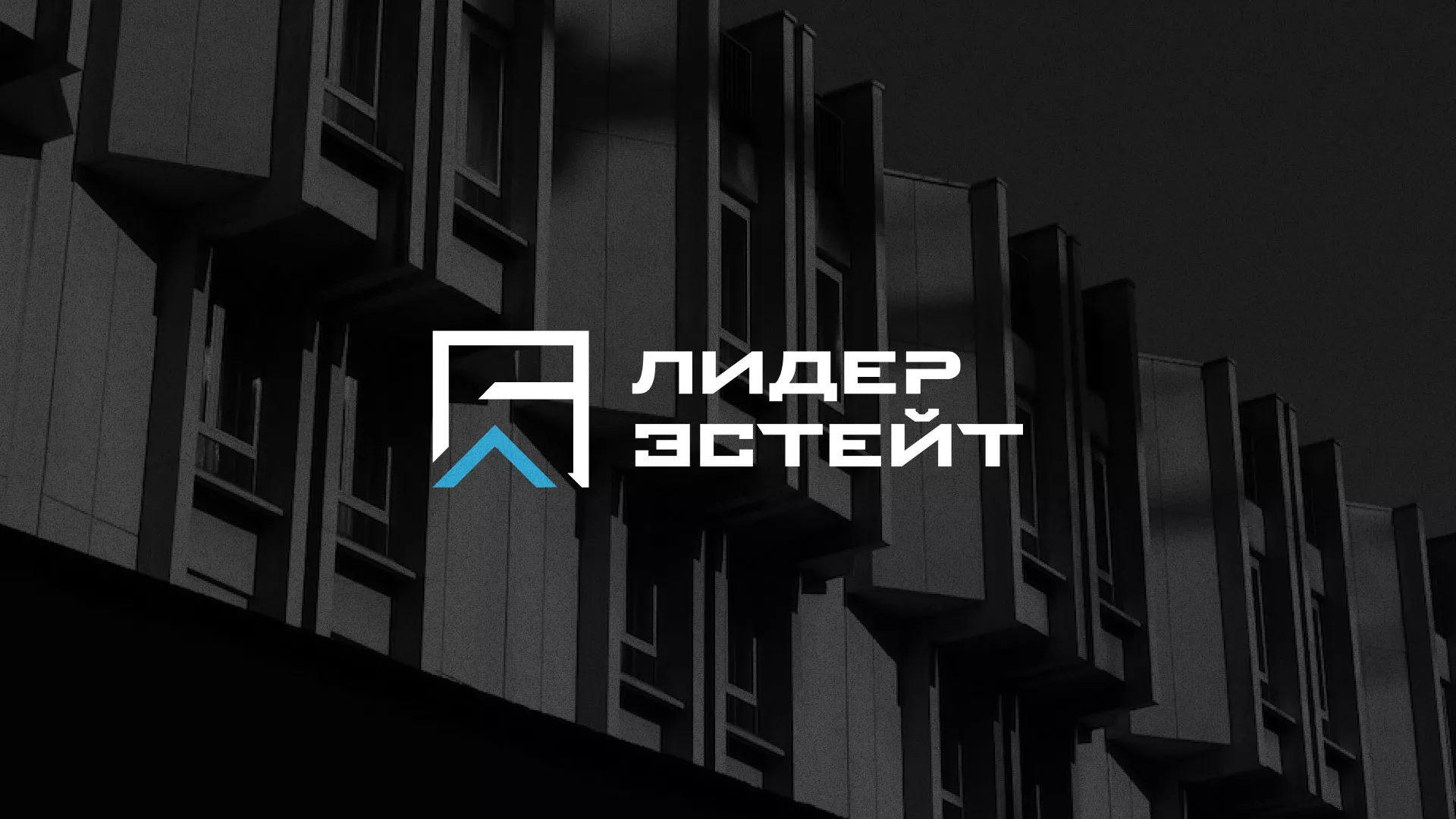 Разработка логотипа агентства недвижимости «Лидер Эстейт» в Кедровом